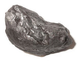 Meteorite Piece Tektite Fragment Iron Meteor Impact Rock